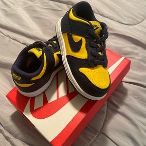 Toddler Nike Michigan Dunks